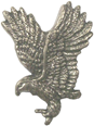 Vest extender with medallion