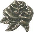 Vest extender with medallion