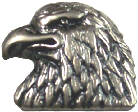 Vest extender with medallion