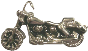 Vest extender with medallion