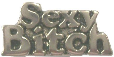 Vest extender with medallion