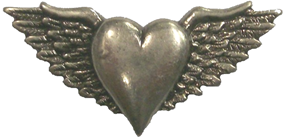 Vest extender with medallion