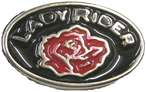 Vest extender with medallion