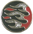 Vest extender with medallion