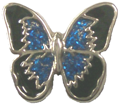 Vest extender with medallion