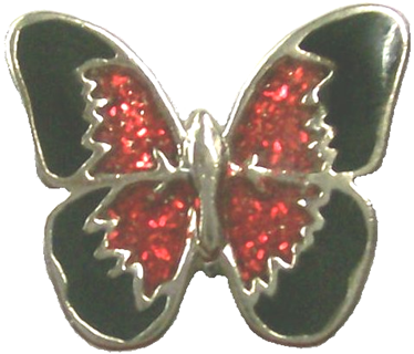 Vest extender with medallion