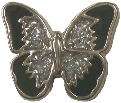 Vest extender with medallion