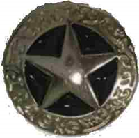 Vest extender with medallion