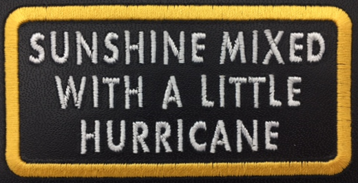 Leather Embroidery Patch 3 3/4" x 2 1/4"