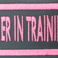 Leather Embroidery Patch 3 3/4" x  1 5/8"